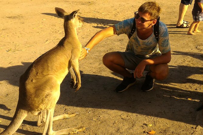 Kangaroo & Sunset Scooter Tour - Cancellation Policy