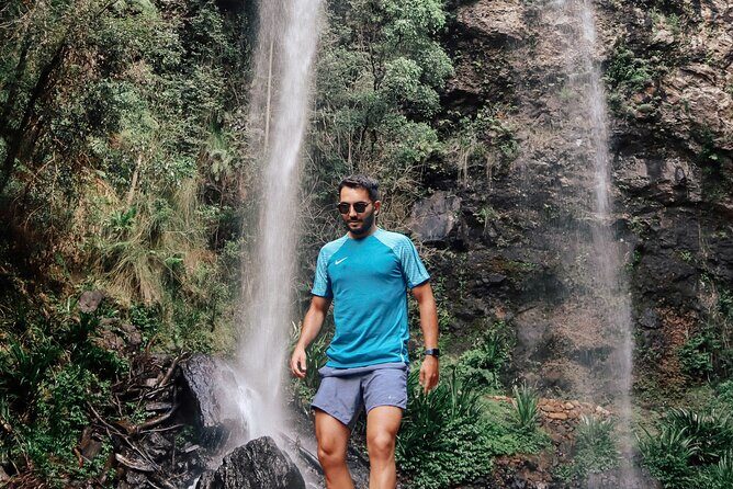 Kangaroos, 6 Springbrook Waterfalls and Natural Bridge Day Tour - Why This Tour Works