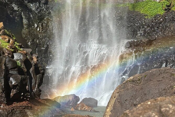 Kangaroos, 6 Springbrook Waterfalls and Natural Bridge Day Tour - Who Will Love This Tour?