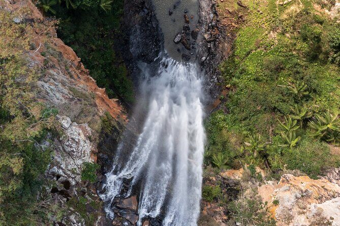 Kangaroos, 6 Springbrook Waterfalls and Natural Bridge Day Tour - FAQ