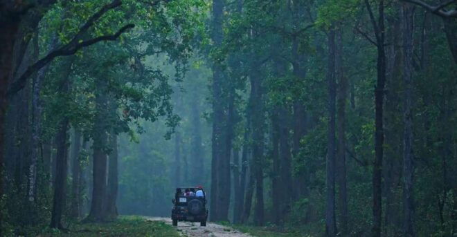 Kanha National Park: Open Jeep Tiger Safari in Kanha Kisli - Customer Reviews