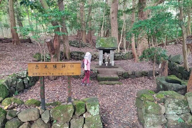 Kannawa Jigoku District Park Nordic Walking Tour - The Sum Up