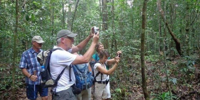 Kanneliya Forest Discovery: Guided Nature Expedition" - Common Questions