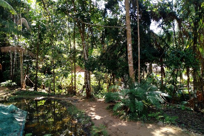 Kanneliya Rain Forest Tour - Booking Information