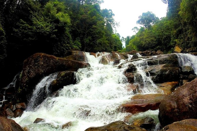 Kanneliya Rain Forest Tour - Common Questions