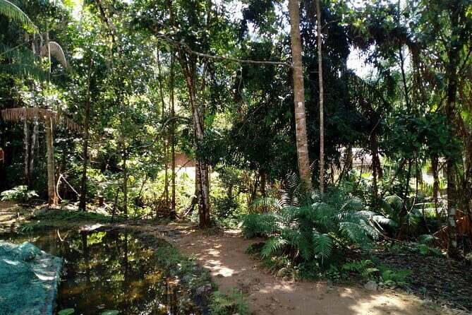 Kanneliya Rain Forest Tour - Frequently Asked Questions