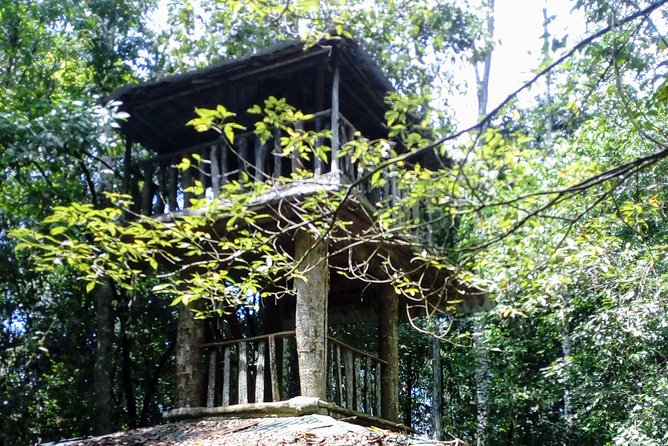 Kanneliya Rain Forest Tour - Tour Details