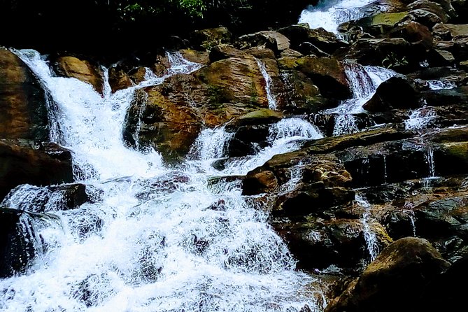 Kanneliya Rain Forest Tour - Overview of the Tour
