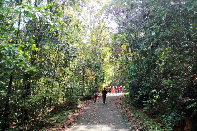 Kanneliya Rain Forest Tour - Booking Information
