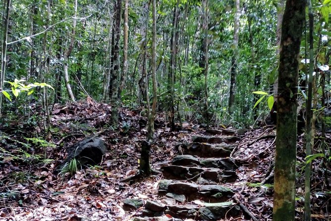 Kanneliya Rain Forest Tour - Common Questions