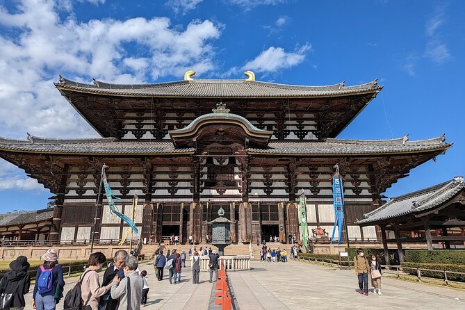 Kansai Adventure: Discovering Nara Private Guided Tour - Expert Local Guide