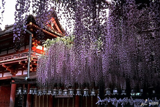 Kansai Adventure: Discovering Nara Private Guided Tour - Common Questions