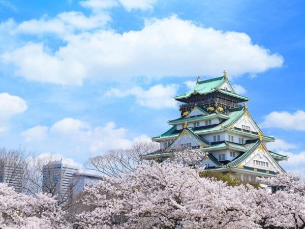 Kansai Airport (Kix): 1-Way Private Transfer To/From Osaka - Baggage Policies and Restrictions