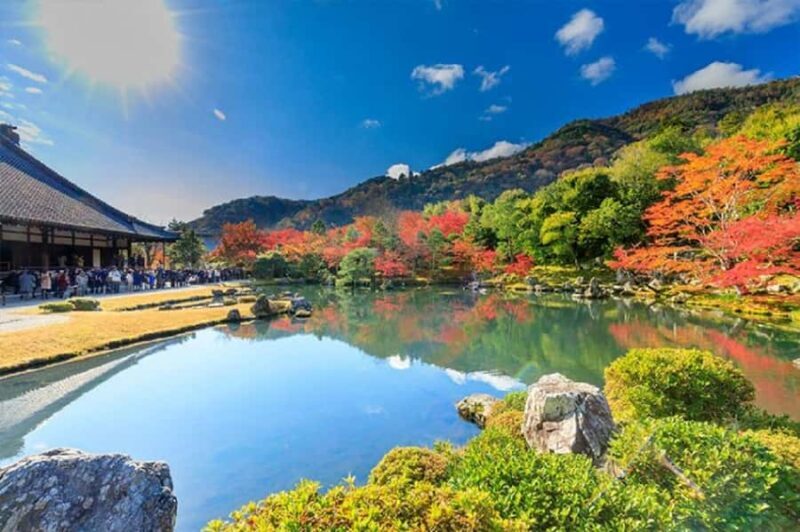 Kansai Garden Day Trip with Tea Ceremony - In-Depth Review of the Kansai Garden Day Trip with Tea Ceremony