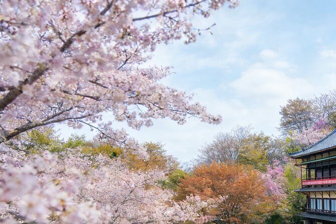 Kansai Hidden Cherry Blossom Gems Seasonal Exclusive Day Trip - Who Will Love This Tour?