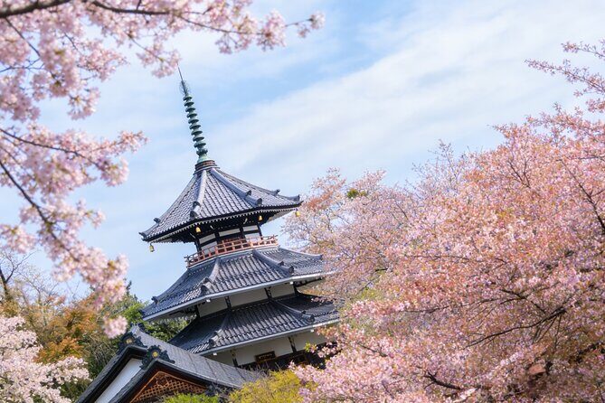 Kansai Hidden Cherry Blossom Gems Seasonal Exclusive Day Trip - FAQ