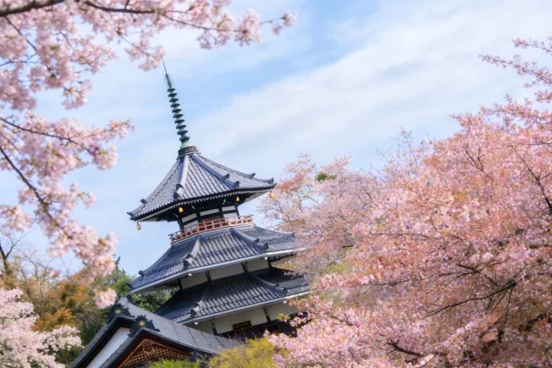 Kansai Hidden Cherry Blossom Tour: Seasonal One-Day Escape - An In-Depth Look at the Kansai Hidden Cherry Blossom Tour