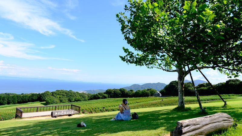 Kansai Niche Secret One-Day Tour: Awaji Island / Mount Koya / Kumano Kodo (Choose one of three) - Departing from Osaka Shinsaibashi - Should you book this day trip?