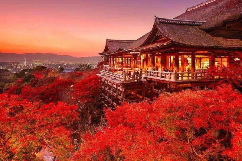 Kansai Private Chartered Car Custom Day Tour: Osaka & Kyoto & Nara & Kobe & Awaji Island & Amanohashidate & Lake Biwa (Departing from Osaka) - Kyoto and Nara need a different plan