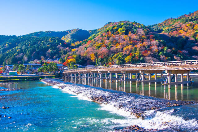 Kansai Private Chartered Car Custom Day Tour: Osaka & Kyoto & Nara & Kobe & Awaji Island & Amanohashidate & Lake Biwa (Departing from Osaka) - What the service tends to get right, and where it can vary