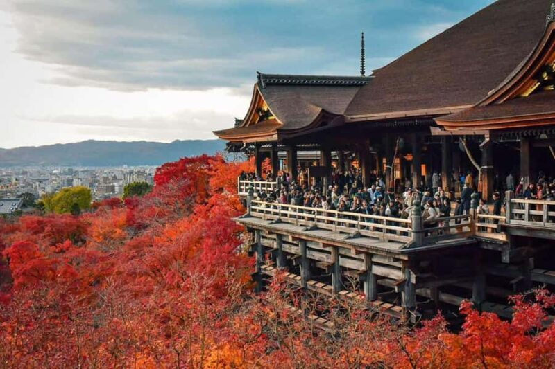 Kansai Region: Private Custom Highlights Tour with Pickup - An In-Depth Look at the Kansai Private Tour