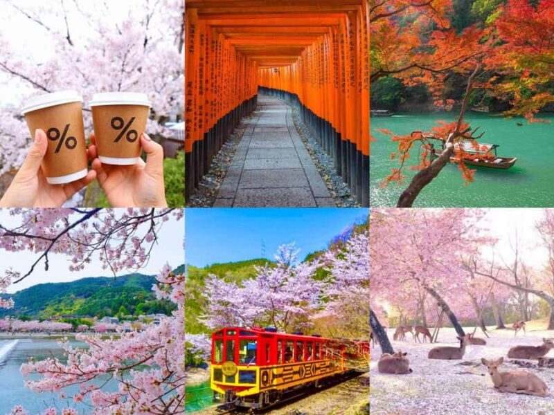 Kansai Region: Private Custom Highlights Tour with Pickup - A Closer Look at the Itinerary  