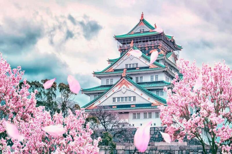 Kansai Region: Private Custom Highlights Tour with Pickup - Final Thoughts on the Experience  