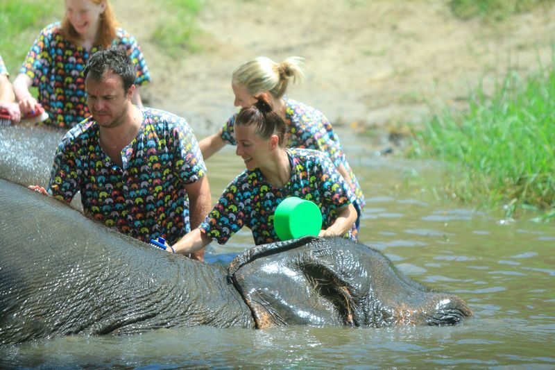 Kanta Elephant Half Day Tour from Chiang Mai - Bathing is an important choice, not a minor detail