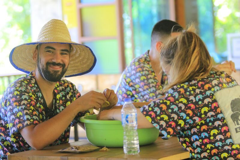 Kanta Elephant Half Day Tour from Chiang Mai - The welfare question deserves a clear-eyed answer
