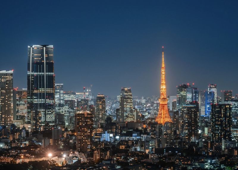 Kanto Private Chartered Car Custom Day Tour | Kamakura & Yokohama & Hakone & Mt. Fuji & Karuizawa | Departing from Tokyo - Key points before you book