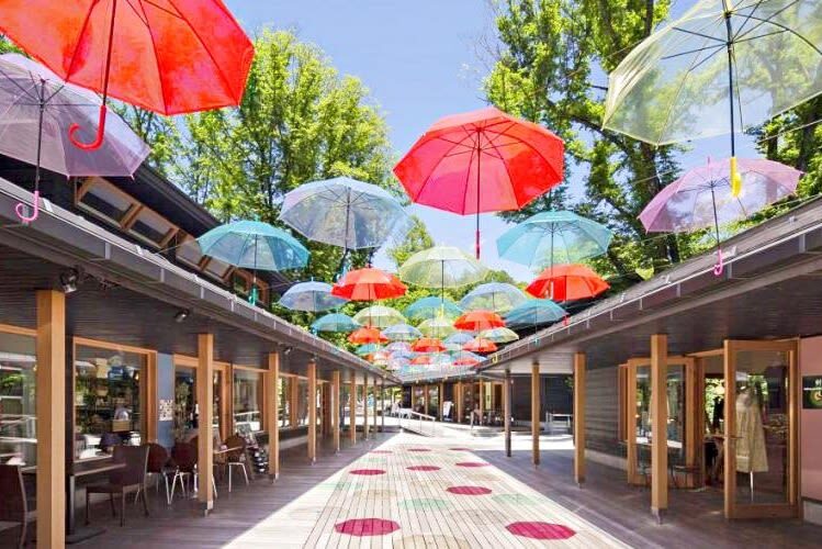 Kanto Private Chartered Car Custom Day Tour | Kamakura & Yokohama & Hakone & Mt. Fuji & Karuizawa | Departing from Tokyo - A private car makes distant sights easier to reach