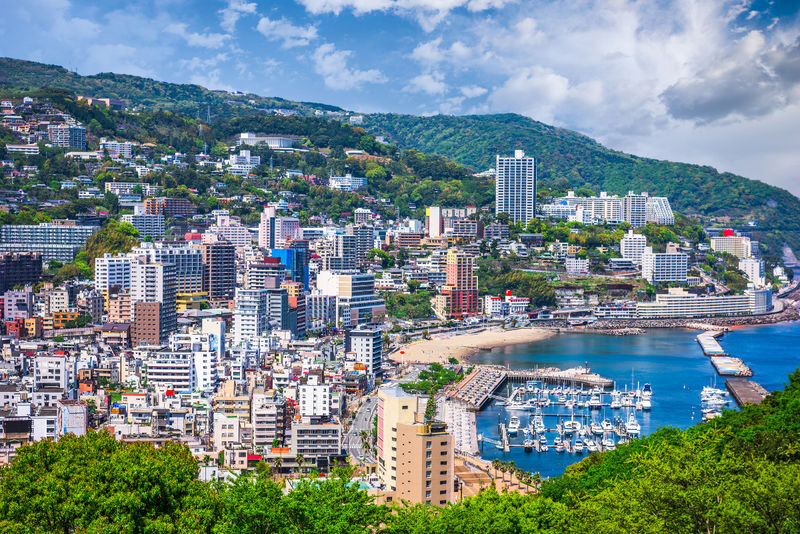 Kanto Private Chartered Car Custom Day Tour | Kamakura & Yokohama & Hakone & Mt. Fuji & Karuizawa | Departing from Tokyo - The driver helps with the road, not every doorway