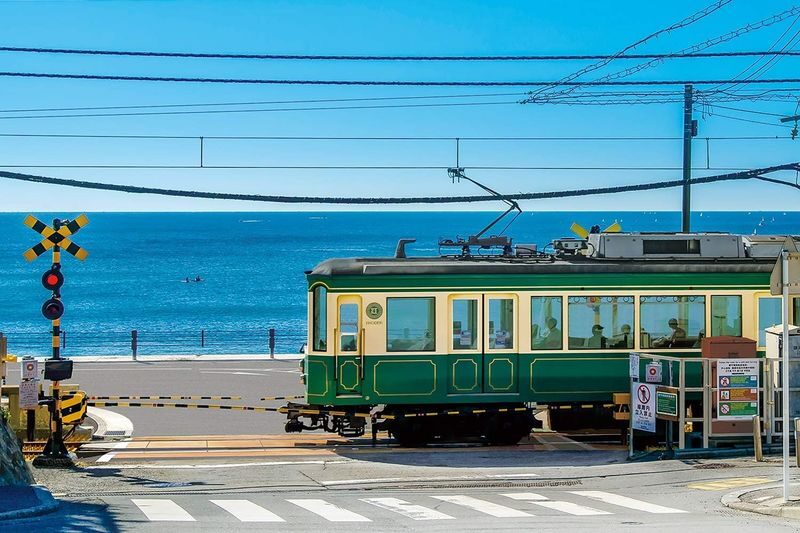 Kanto Private Chartered Car Custom Day Tour | Kamakura & Yokohama & Hakone & Mt. Fuji & Karuizawa | Departing from Tokyo - Plan the day around traffic and your own pace