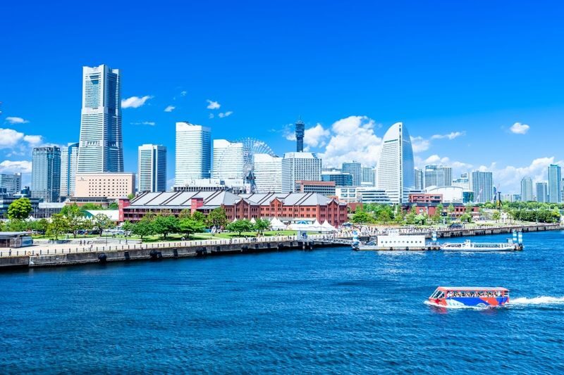 Kanto Private Chartered Car Custom Day Tour | Kamakura & Yokohama & Hakone & Mt. Fuji & Karuizawa | Departing from Tokyo - Who should book this private charter?