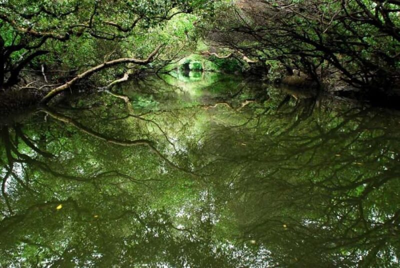 Kaohsiung: 4-Day Southern Taiwan Cultural Tour - Who Is This Tour Best For?