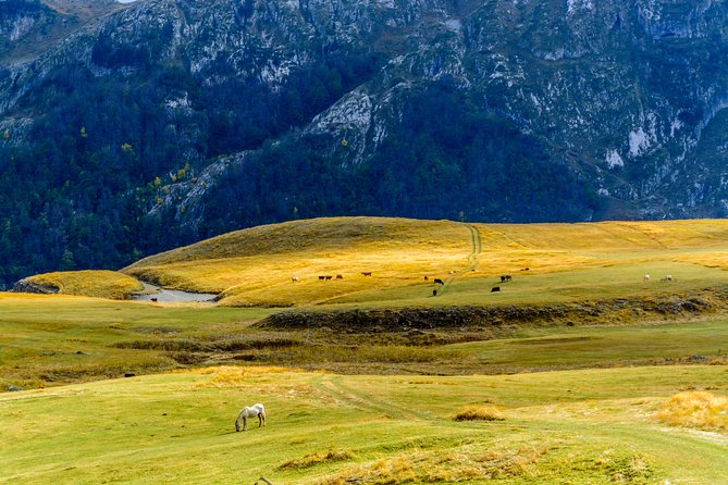 Kapetanovo Lake Hiking - Health and Safety Tips