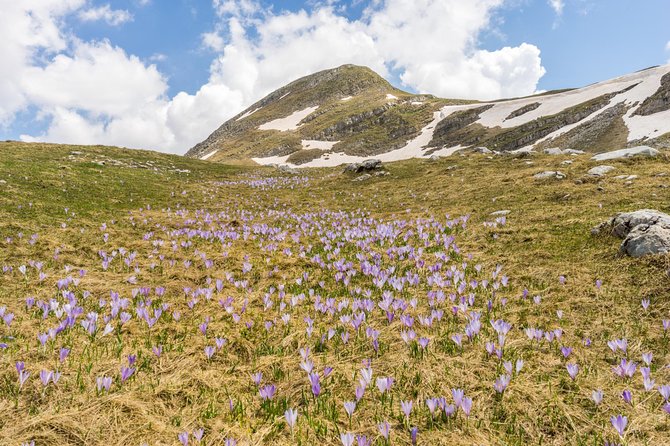 Kapetanovo Lake Hiking - Traveler Reviews