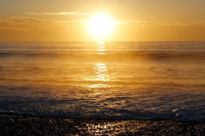 Kapiti Coast and Foxton Area Beaches Day Tour - Authentic Experiences from Reviews