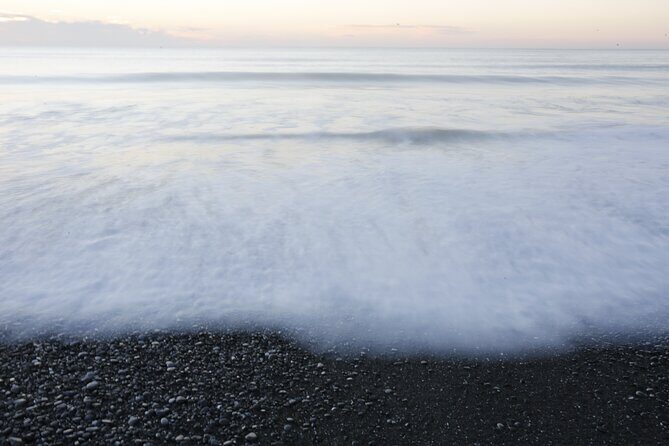 Kapiti Coast and Foxton Area Beaches Day Tour - Who Is This Tour Best For?