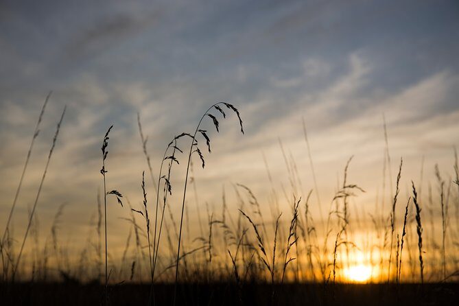Kapiti Coast and Foxton Area Beaches Day Tour - The Sum Up
