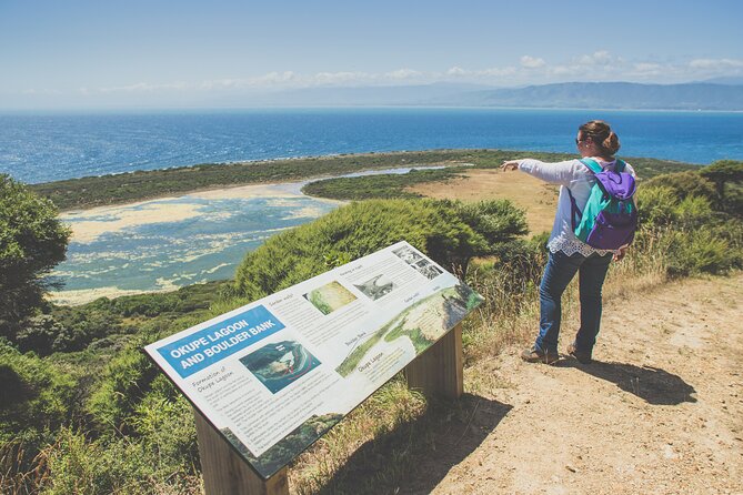 Kapiti Island Classic Guided Day Tour - Walking and Bird Identification