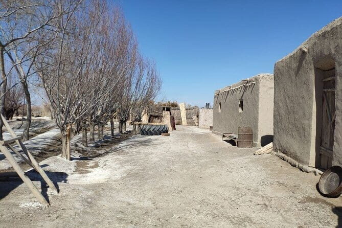 Karakalpak Heritage Tour to Chimbay and Khalkabad Villages - Introduction: What Makes This Tour Special?