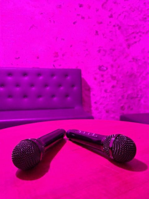 Karaoke Box in Downtown Chartres - Experience Highlights at Karaoke Box