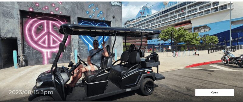 Karaoke Golf Cart City Tour  Tampa! - Good To Know  