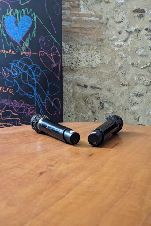 Karaoke in the City Center of Chartres for 2-6 People - Song Catalog and Experience