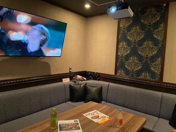 Karaoke Night With All-You-Can-Drink in Shinjuku - Highlights of the Karaoke Night