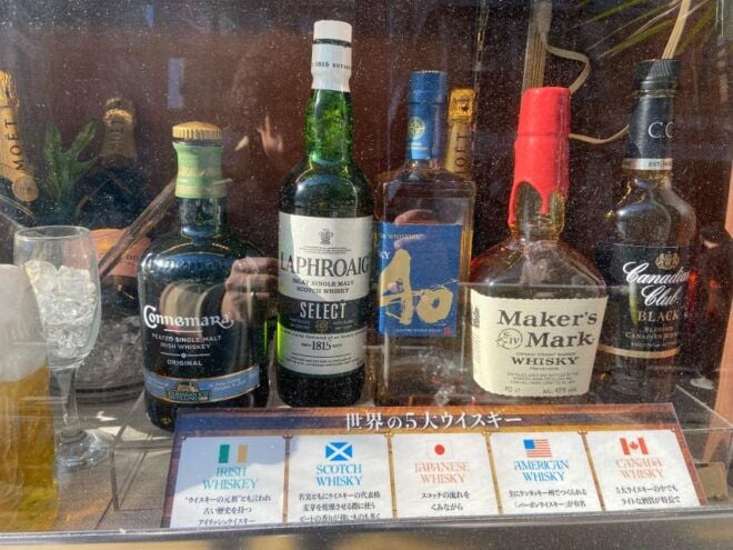 Karaoke Night With All-You-Can-Drink in Shinjuku - Additional Information