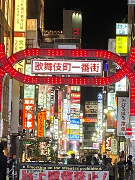 Karaoke Night With All-You-Can-Drink in Shinjuku - Directions
