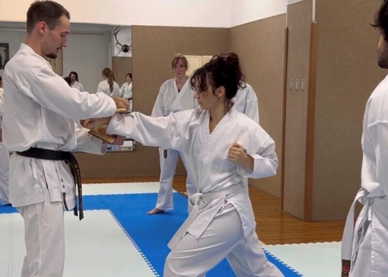 Karate Experience with the Shotokan Karate-do Instructor - The Experience in Detail: What You’ll Really Take Away