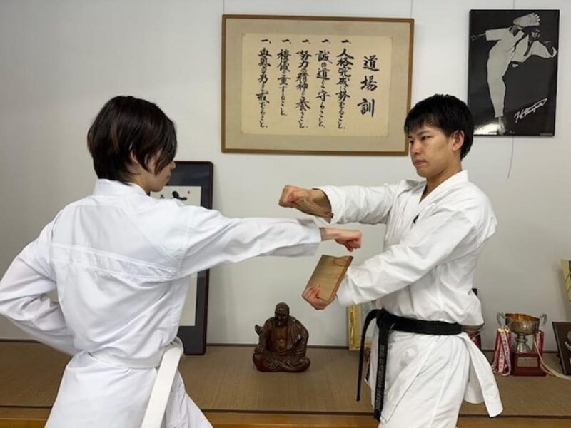 Karate Experience with the Shotokan Karate-do Instructor - Good To Know